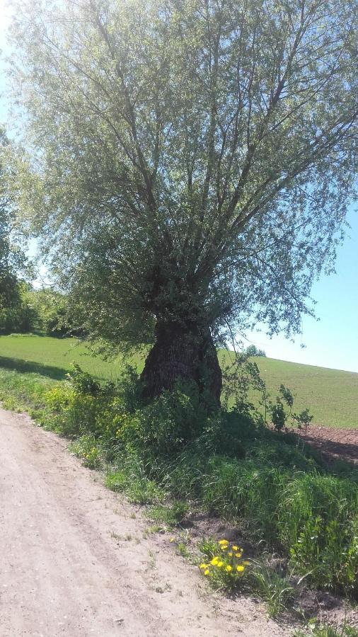 Domek Bialojany Exteriör bild