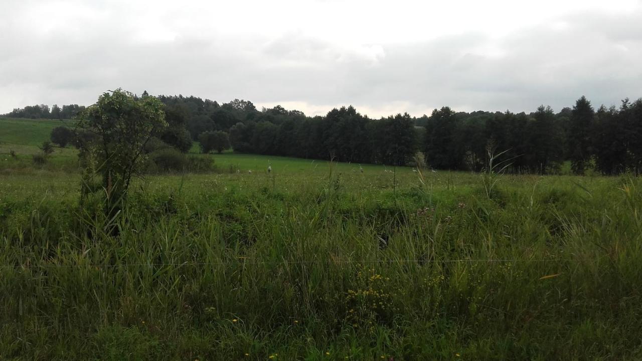 Domek Bialojany Exteriör bild